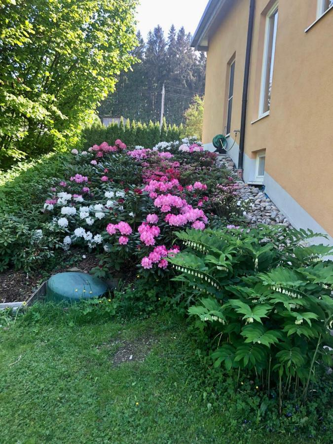 Apartmán Am Wildbach Bei Passau Saming Exteriér fotografie