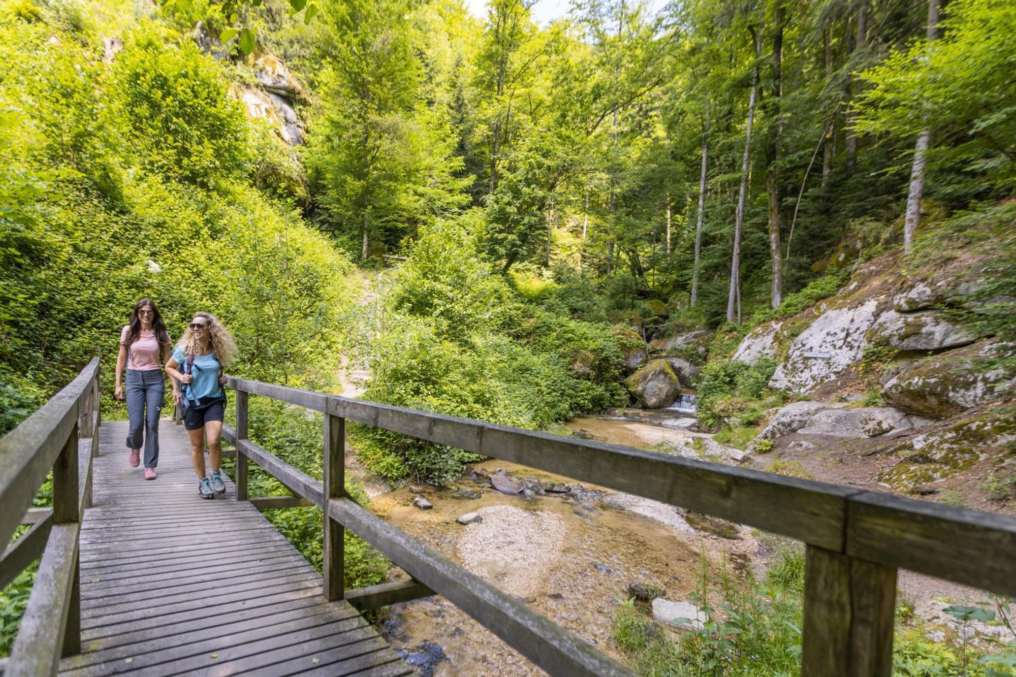 Apartmán Am Wildbach Bei Passau Saming Exteriér fotografie