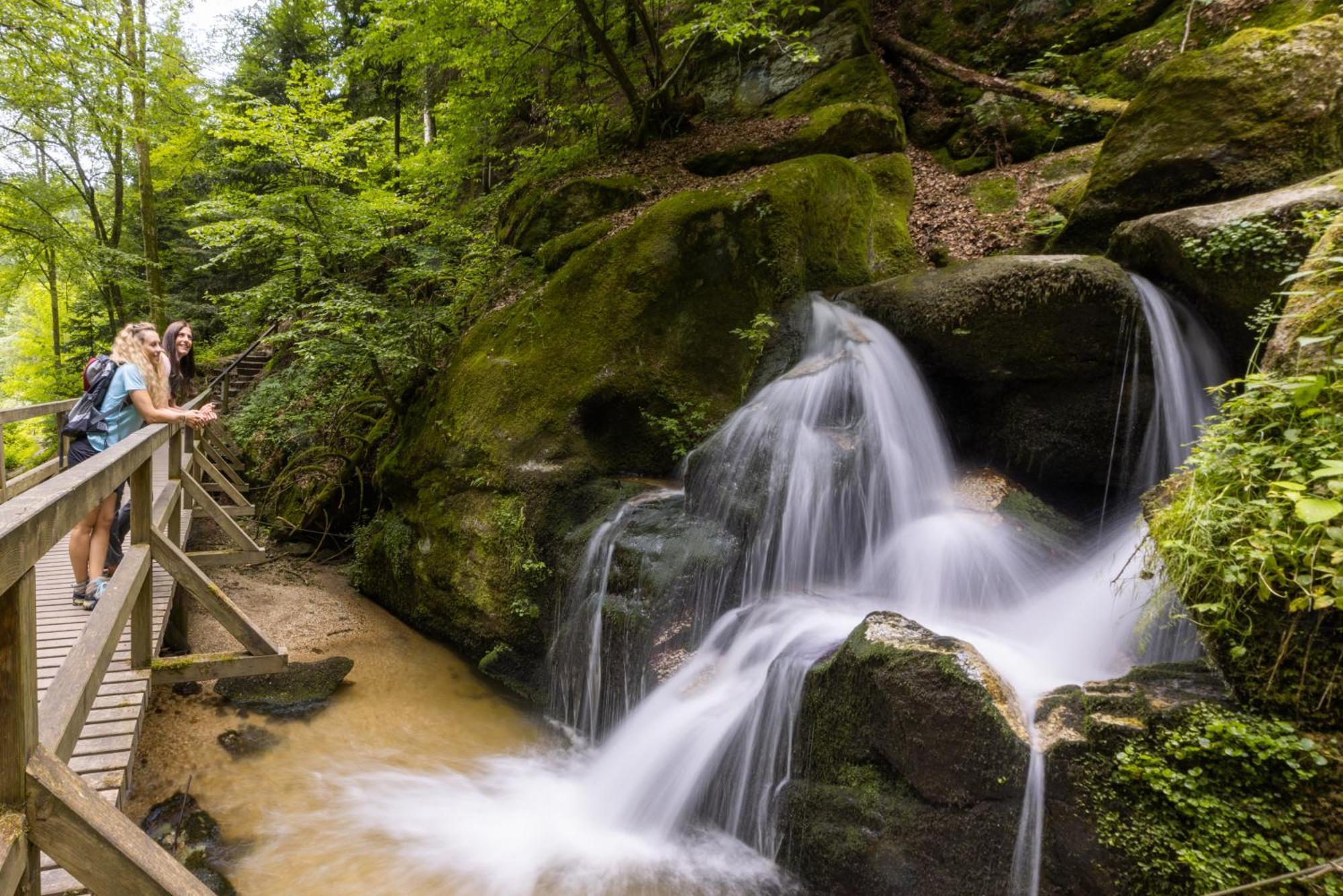 Apartmán Am Wildbach Bei Passau Saming Exteriér fotografie