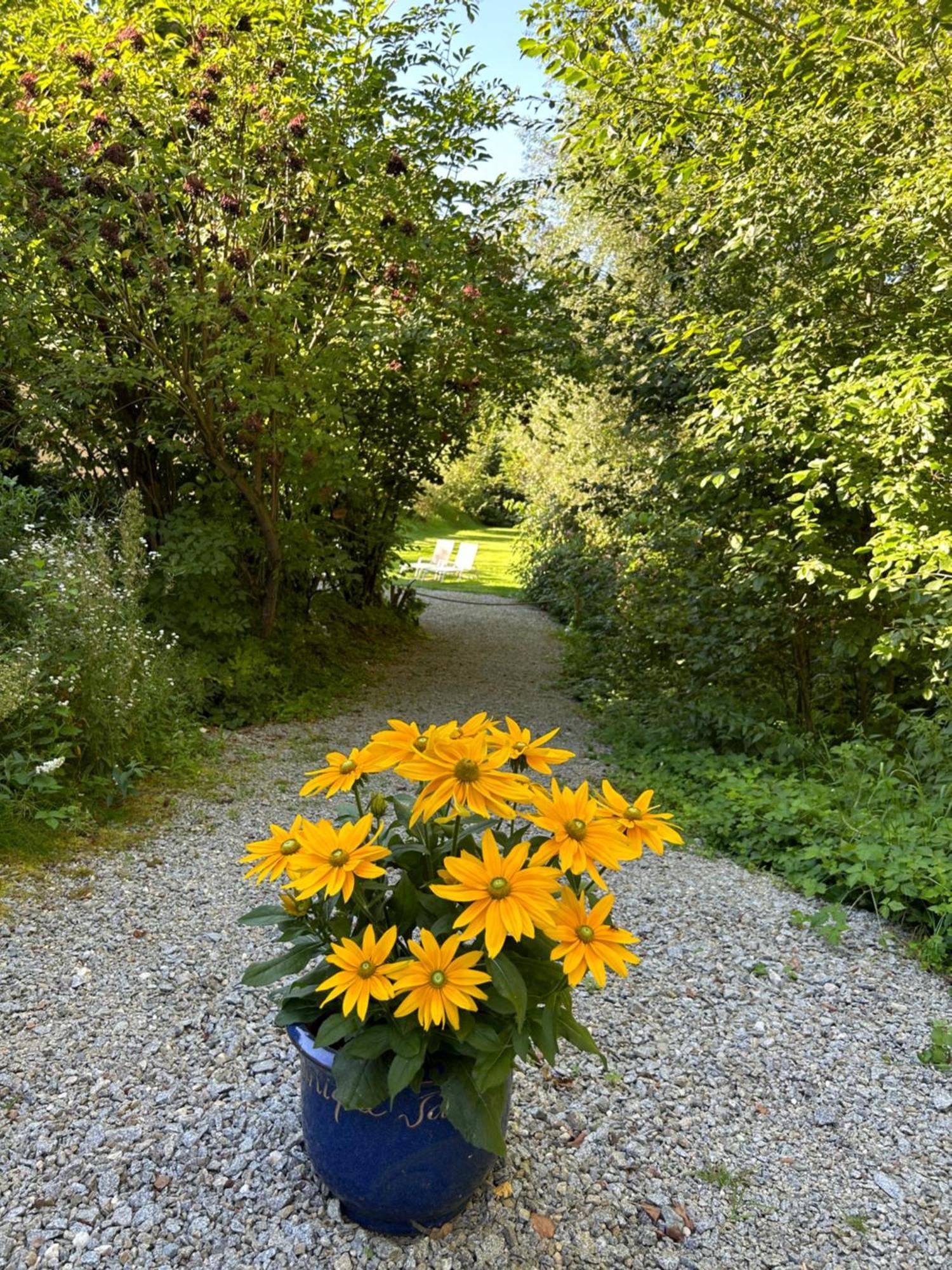 Apartmán Am Wildbach Bei Passau Saming Exteriér fotografie